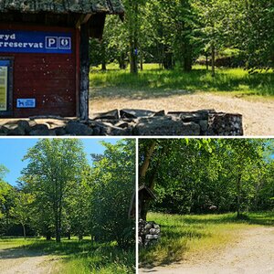 Steneryds Lövängar