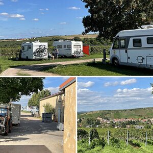 Wohnmobilstellplatz in Nierstein