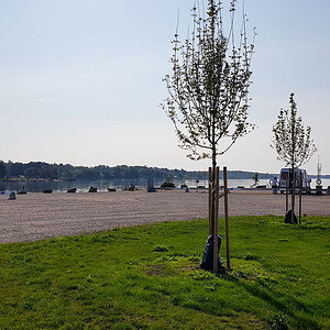 Ronneby Marina10.jpg