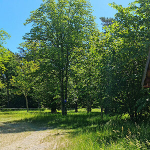 Steneryds Lövängar2.jpg