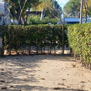 Camping Olé liten tomt5.jpeg