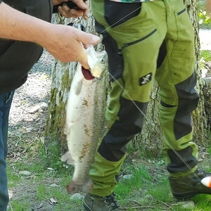 Harasjömåla Fiskecamp4.jpg