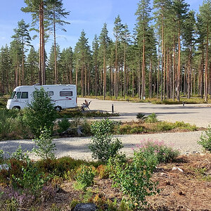 Kosta Safaripark 1.jpeg