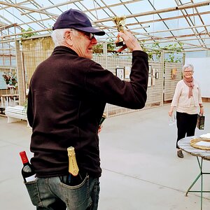 Vinnarparet av frågetävlingen