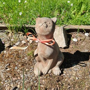 2022 Lite bilder från Kinnekulle