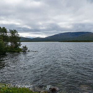 Storamossa 2021 25 april-5.jpeg