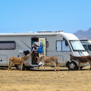 20200629141134_IMG_2404 (1).JPG